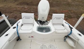 2007 Everglades 223 CC back 2