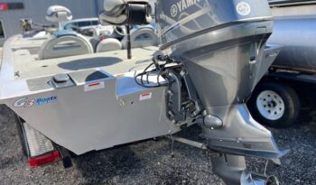 2014 G3 Eagle Talon 19 DLX motor