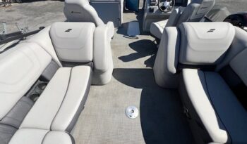 2023 Starcraft SLS 3 carpet