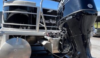 2023 Starcrarft EX 22 back